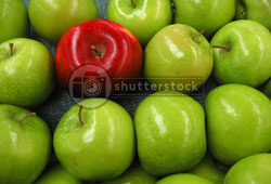 shutterstock apples