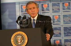 Shutterstock Bush