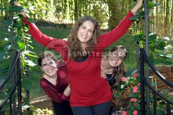 shutterstock gate