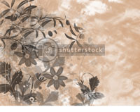 Shutterstock Kailash