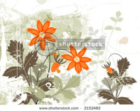 Shutterstock org