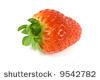 One strawberry closeup