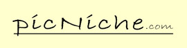 picniche stock keyword tool